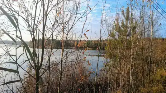 Ohotniche hozyaystvo Sechuga - 25