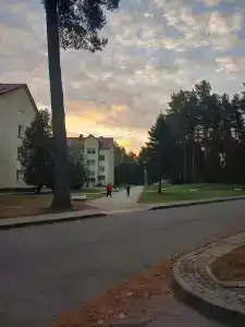 Uchrezhdenie zdravoohraneniya gorodskoy detskiy tsentr meditsinskoy reabilitatsii Praleska Sanatorium - 19