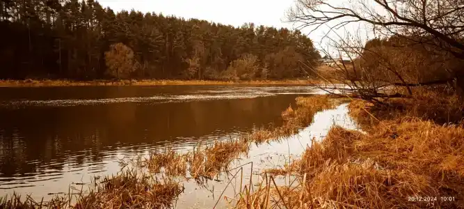 Кронон Парк - 68