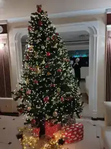 Gostinichno-Restorannyij Kompleks ZIHIYa - 15