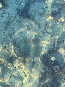 Domina El Sultan & Resort - 32