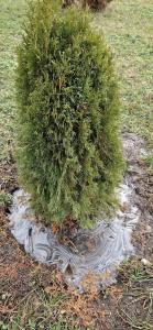 Nekrasovo Tourist base - 62