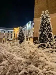 Медикал Спа Резорт Альфа Радон - 67