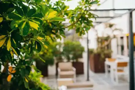 EuroDiagonal Port - 46