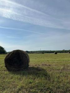 Park Grishkino Tourist base - 36