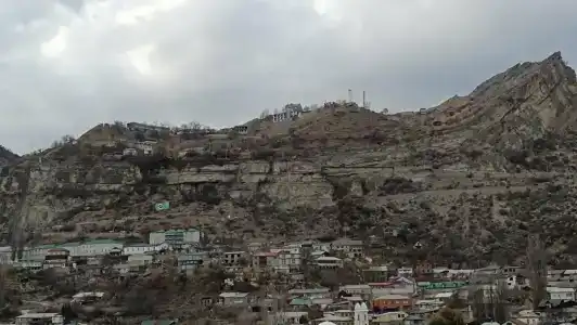 Белые журавли - 81