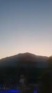 Elamir Felizya - 16