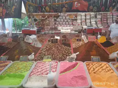 Armas Beach - 41