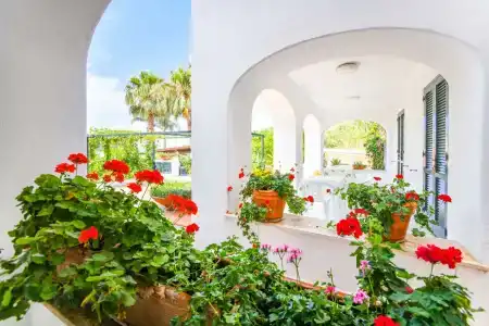 Residence San Domenico - 10