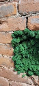 Bazilevs Boutique - 28