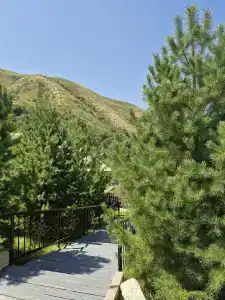 Country Village Resort - 12