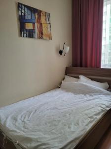 MAXX inn - 13