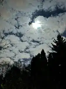 Nagornoe Holiday Home - 69