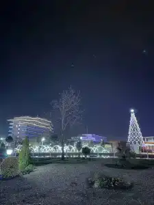 Сочи Парк - 41