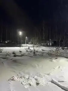 Neshalashi Lesnoy - 87