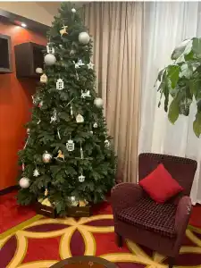Courtyard by Marriott Irkutsk City Center - 47