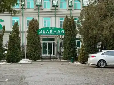 Зеленая - 11