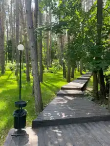 Донской лес - 25