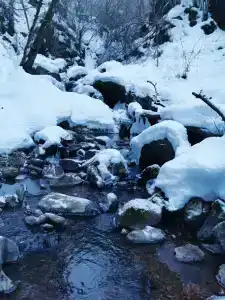 База отдыха Кишкет - 100