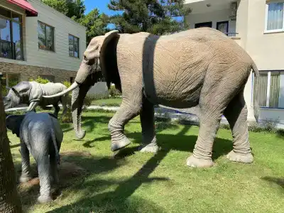 Club Sun Heaven - 96