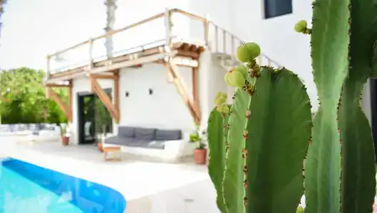 Bitez Corner Boutique - 10