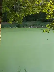 Complex Kamenyuky - 72