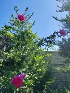 Dom s verandoy - 90