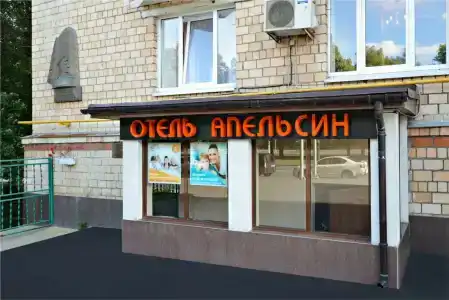 Orange Vorobyovy Gory - 2