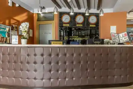 Vorob'evyi Goryi - 31