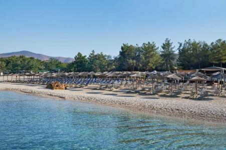 Alexandra Elegance Bridging Generations - 29