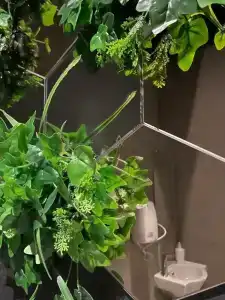 Shelterz Elektrozavodskaya - 16