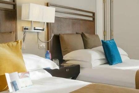 Crowne Plaza Rome St. Peter's, an IHG - 65