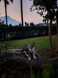 Berke Ranch&Nature - 30