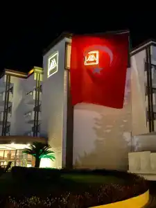 Asteria Collection - 2