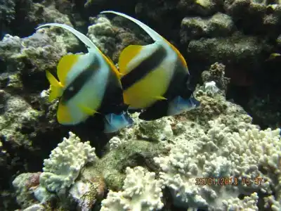 Sharming Inns - Couples and Families Only - 41