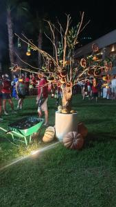 Sherwood Dreams Resort - 14