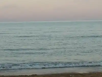 Baza otdykha Golden Sands - 72