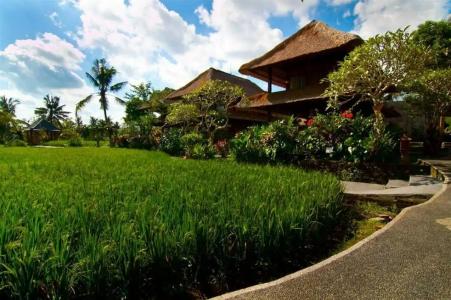Alpin Resort and Villa Ubud - 47