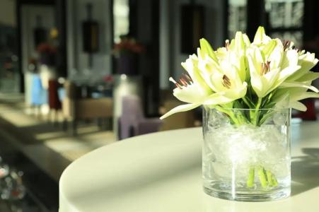 Sofitel Casablanca Tour Blanche - 78