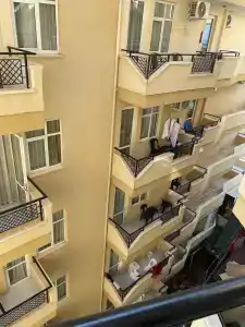 Kleopatra Beach - All Inclusive - 14