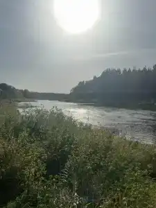 Mitino Health Resort - 86