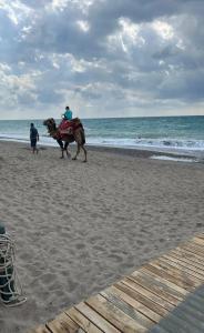 Crystal Family Resort & Spa - Ultimate All Inclusive - 21