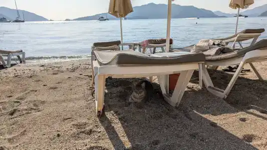 The Beachfront Adult Only 16 Plus - 36