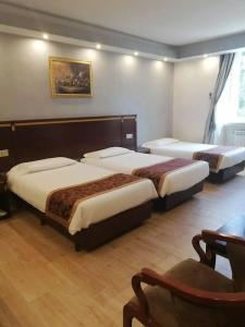 B&B Drago D'Oro - 40