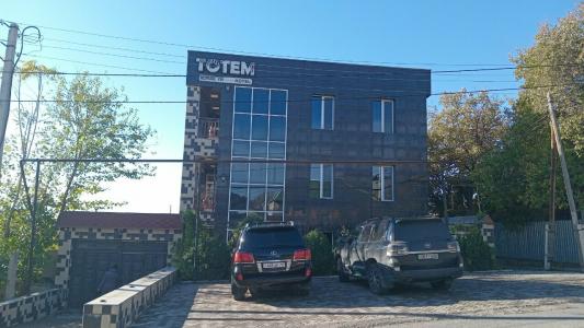 Totem - 41