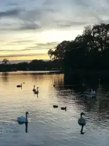 Villa Tat'yana Na Verhneozyornoj - 83