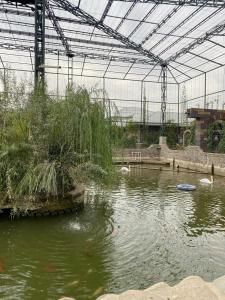 Shik Village Resort & Spa - 30