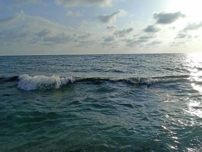 Kaila Krizantem - 37