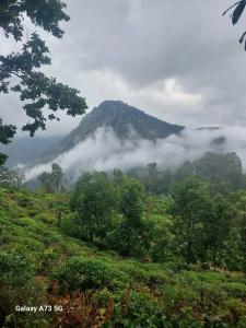 Lagoon Paradise Beach Resort - 16