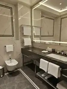 Cosmos Selection Saint-Petersburg Italyanskaya - 88